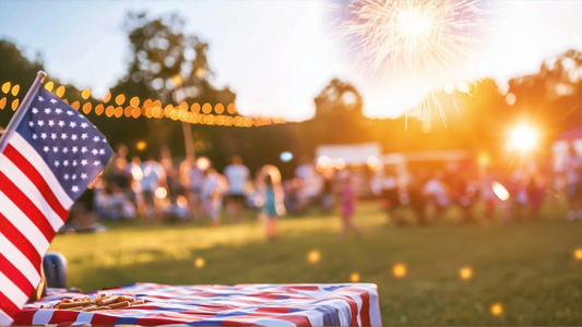 Fourth of July Family picnic
